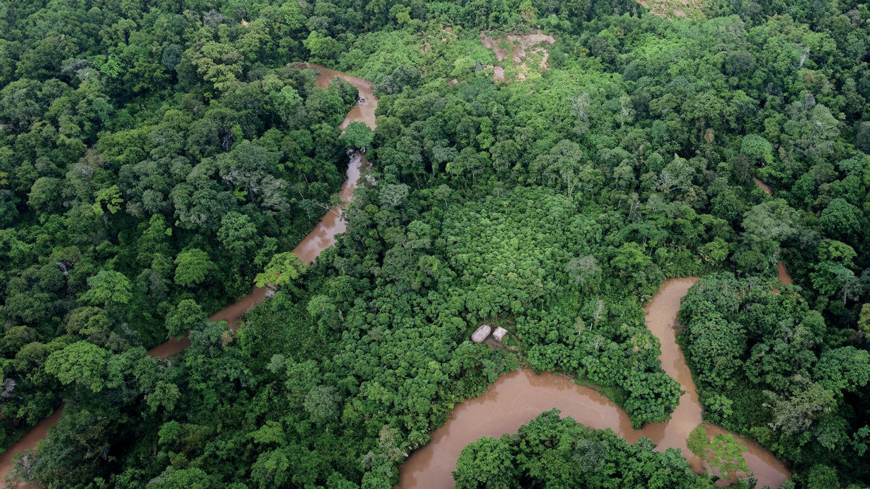 Vista aérea de bosque amazónico usada en el brochure Territorios de Vida.
